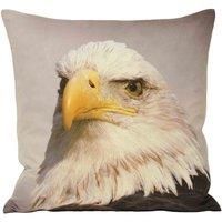 Paoletti Animal Eagle Cushions