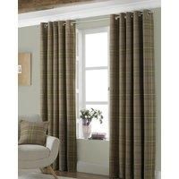 Riva Paoletti Aviemore Eyelet Curtains, Brown, 66 x 54 (168 x 137 cm), Polyester, Thistle