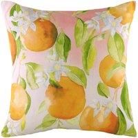 Evans Lichfield Fruit Oranges Printed Cushions
