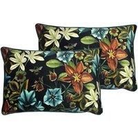 Evans Lichfield Midnight Garden Aquilegia Polyester Filled Cushions Twin Pack Teal 40 x 60cm