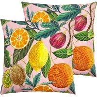 furn. Evans Lichfield Citrus Outdoor Twin Pack Cushion - Multicolour - Square - 43cm x 43cm
