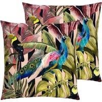 Evans Lichfield Toucan And Peacock Outdoor Polyester Filled Cushions Twin Pack Multi
