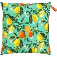 Evans Lichfield Orange Blossom Large 70cm Outdoor Floor Cushions