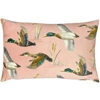 Evans Lichfield Country Duck Pond Cushion Cover, Blush, 40 x 60cm