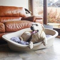 Rosewood All Seasons Dog Mattress, Small, 55cm