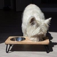 Rosewood Raised dog bowl for medium and large dogs with a sturdy elevated stand and two stainless steel water and food bowls, Large
