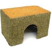 Rosewood Real Carrot Top Edible Cottage Chew Toy - Cosy House Small Animal Gnaw
