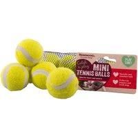 Rosewood Pets Catch & Play Tennis Ball, Spikey, Fetch Toy - For Interactive Play