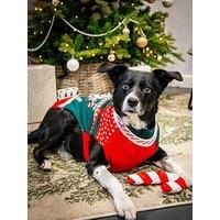 Rosewood Cupid & Comet Box for Dogs, Large – Festive Dog Jumper and Candy Cane Plush Toy, Holiday Dog Present, Christmas Outfit and Toy Set for Dogs, Fun for Pets