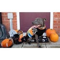 Rosewood Halloween Dog Jumper – Roll Neck Knitted Dog Sweater – Soft & Warm Halloween Dog Outfit – Cosy Autumn Pet Clothing for Small Dogs – Pumpkin-Themed Dog Knitwear – Large