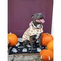 Rosewood Pumpkin Dog Raincoat – Autumn Packaway Waterproof Jacket – Lightweight Halloween Dog Coat with Hood – Foldable Pet Rainwear for Walks in Wet Weather – Medium
