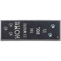My Mat Howler & Scratch Patterned Home 2 Runner 50X150, Black