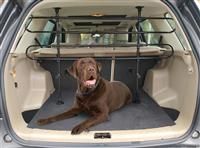 Heavy Duty Pet Safety Car, Hatchback, 4x4 & Estate Dog Guard Barrier -NEW DESIGN