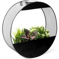 Streetwize Circular Solar Wall Planter