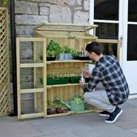 Zest Compact Botanical Greenhouse