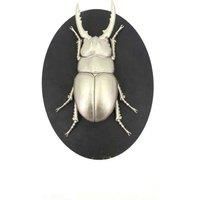 Minster Stylish Living Msl 33Cm Insect Wall Decor On Wood Board