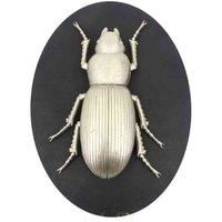 Minster Stylish Living Msl 33Cm Insect Wall Decor On Wood Board
