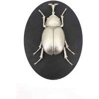 Minster Stylish Living Msl 33Cm Insect Wall Decor On Wood Board