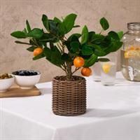Artificial Orange Tree Plant in Pot Kitchen Decor Party New Home Natural Style