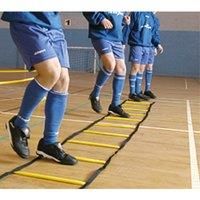 Precision Training 4m Indoor Speed Agility Ladders