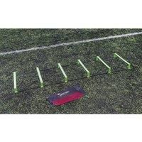Precision Training Pinnacle Ladder
