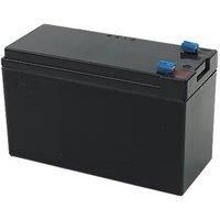 Sealed Lead Acid Battery 12V 2.1Ah (20080)