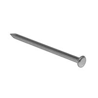 Masonry Nail 25mm (100 Pack)