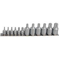 Blue Spot Tools 1551 B/SPOT 1/4 and 3/8-Inch Torx Sockets (12-Piece)