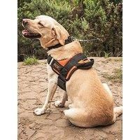 RAC Car Dog Harness | Dogs