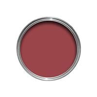 Farrow & Ball SAMPLE POT 248 INCARNADINE