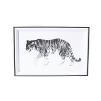 Acrylic Framed Print 30cm - Black/White Tiger - Gisela Graham