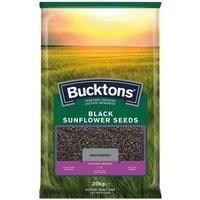 Bucktons 0100626 "Black Sunflower" Seeds - Green