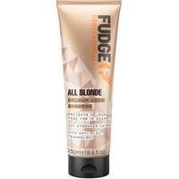 Fudge Professional All Blonde Colour Lock Shampoo, 250 ml