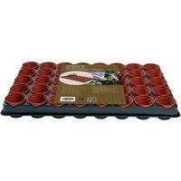 Professional Seed and Cutting Tray