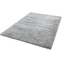 Asiatics Carpets Payton rug 160 x 230 Silver