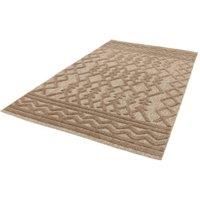 Asiatic Salta Rug 160x230cm Brown Links