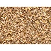 Johnston & Jeff Mixed Poultry Corn