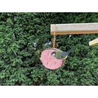 Johnston & Jeff Suet Coconut Half with Berries