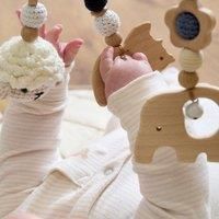 Clair De Lune Wooden Play Gym