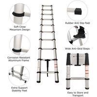 Groundlevel Extra Wide Telescopic Ladder With Soft Close Design - 3.8M
