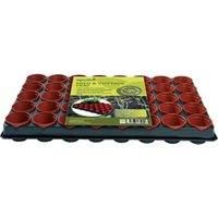 Growing Tray with 40x6cm round pots
