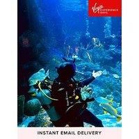 Virgin Experience Days Dive With Sharks At Skegness Aquarium
