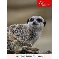 Virgin Experience Days Digital Voucher Meet And Feed The Meerkats For Two At Millets Falconry Centre