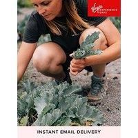 Virgin Experience Days Digital Voucher Totally Wild Foraging, Cookery And Lunch For 2 - 18 Locations Uk Wide