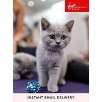 Virgin Experience Days London Kitty Yoga Session With Play Time For 2 - Digital Voucher