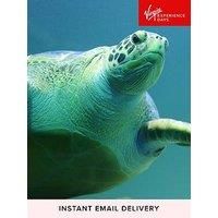 Virgin Experience Days Turtle Feeding And Entry For Two At Sea Life Blackpool