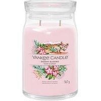 Yankee Candle Black Coconut scented candle I. Signature 567 g