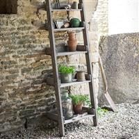 Aldsworth Shelf Ladder