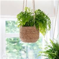 Garden Trading Seagrass Woven Hanging Plant Pot Rustic Home Room Accessories