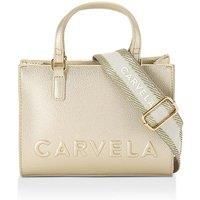 'Frame Mini Tote' Bag